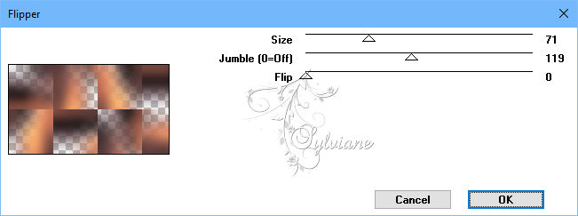 flipper